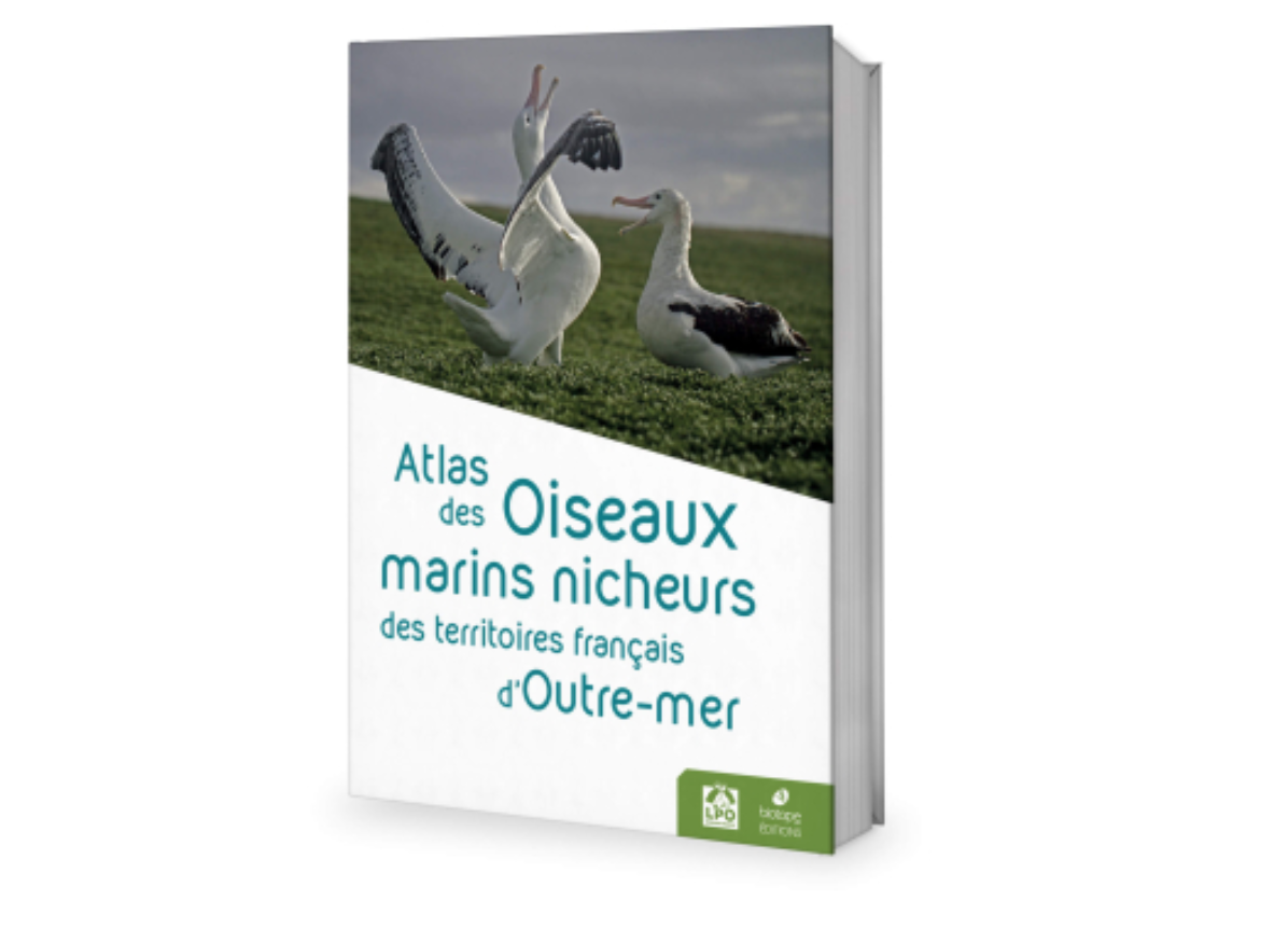 La LPO publie l’Atlas des oiseaux marins nicheurs d’Outre-Mer